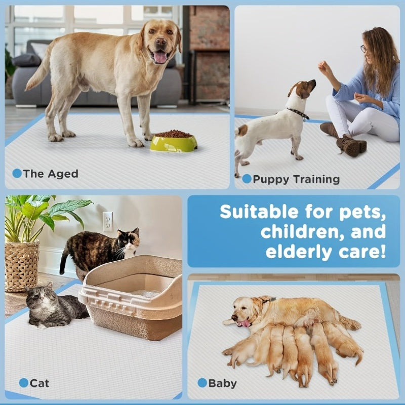 XXXXL Dog Potty Pads 31X47 Inch, 6-Layer Super Absorbent & Leak-Proof Puppy Pads, 40 Count for Large Dogs, Post-Surgery Care & Training
