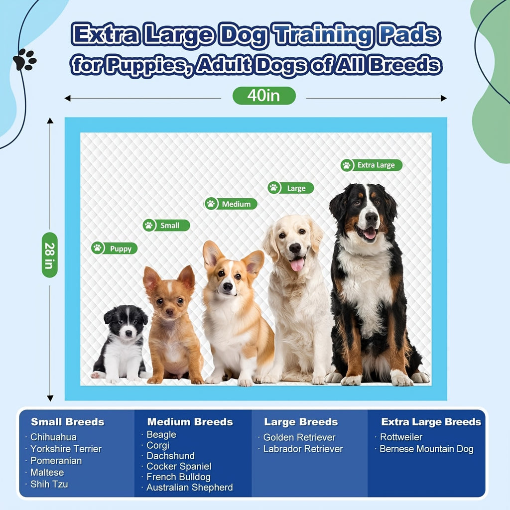 Disposable Puppy Pads, 100 Count\u002F80Count 25x35in\u002F28x40in, 8 Layer Pee Pads for Dogs, Absorbent Diaper Changing Pad, Dog Potty Training Supplies, Quick Dry Pet Housebreaking Essentials for Puppies