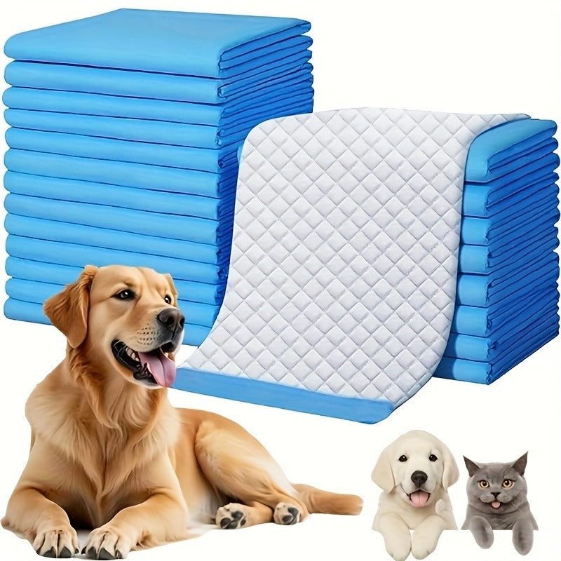 XXXXL Dog Potty Pads 31X47 Inch, 6-Layer Super Absorbent & Leak-Proof Puppy Pads, 40 Count for Large Dogs, Post-Surgery Care & Training
