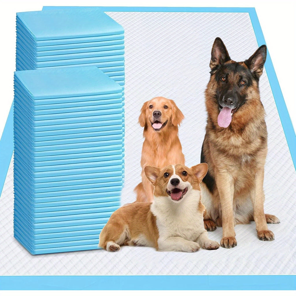 XXXXL Puppy Pee Pads for Dogs 31'X47' 40 Count, Extra Large Dog Pee Pads, Leak-Proof & Super Absorbent Dog Pee Pads, Thickened Disposable Potty Pads Puppy Training Pads for Cats Rabbits