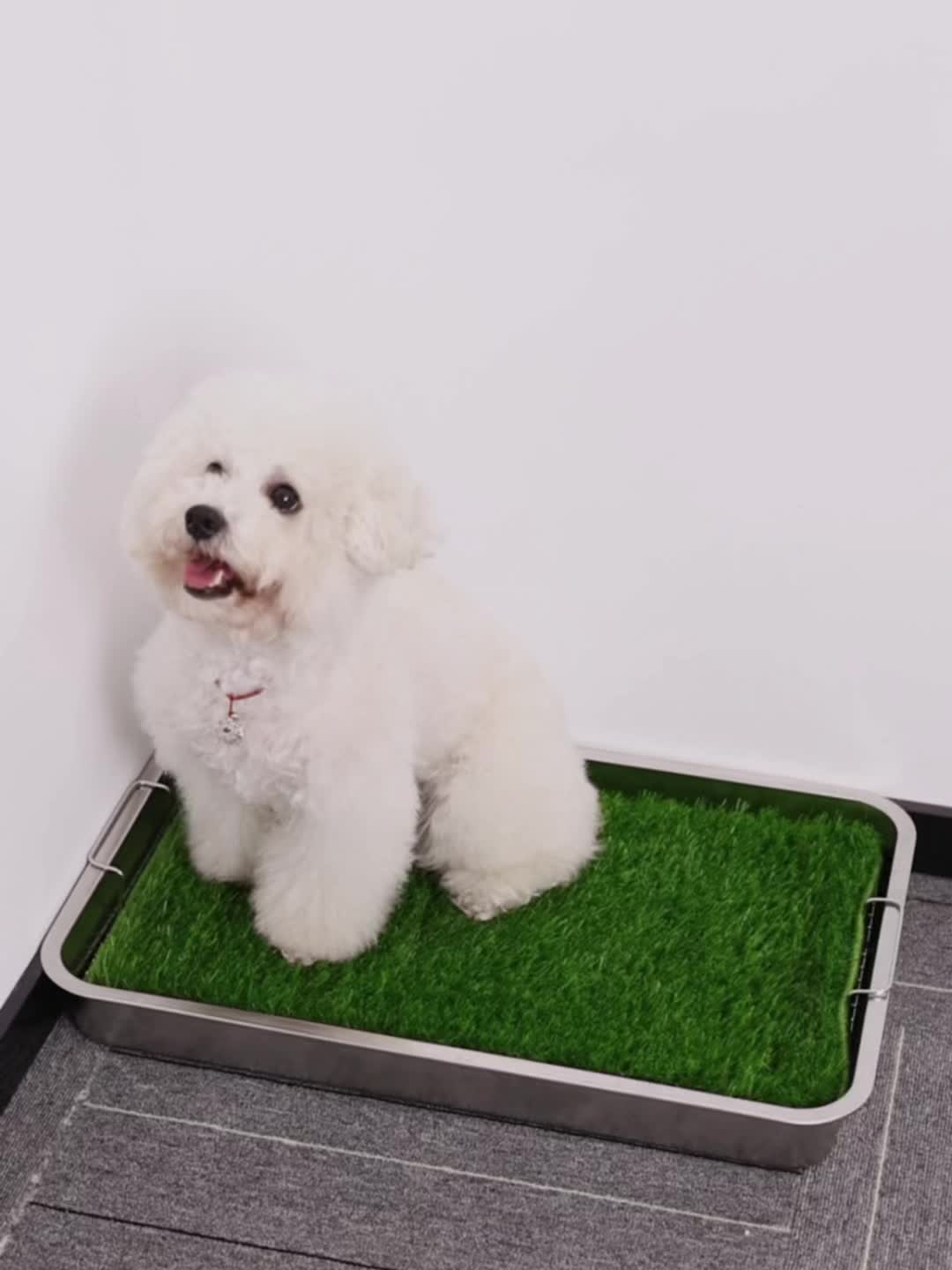 Washable Dog Potty Tray Dog Grass Pad Dog Litter Box Toilet Stainless Steel Tray with Artificial Washable Grass Pads, Dog Potty Training Mat for Indoor Outdoor Use, Green Grass Pad for Small to Medium Dog with Stainless Steel Guard Rails