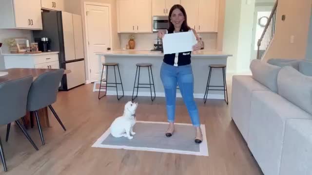 Upgraded Charcoal Puppy Pads, Thicken XXL 32'x48'\u002F 32'x56'Pee Pads for Dogs, Super Absorbent Up to 13Cups, Odor Control & Leak Proof Dog Training Pads for Surgery, Older, Puppy, 40 Counts
