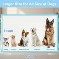 XXXXL Puppy Pee Pads for Dogs 31'X47' 40 Count, Extra Large Dog Pee Pads, Leak-Proof & Super Absorbent Dog Pee Pads, Thickened Disposable Potty Pads Puppy Training Pads for Cats Rabbits