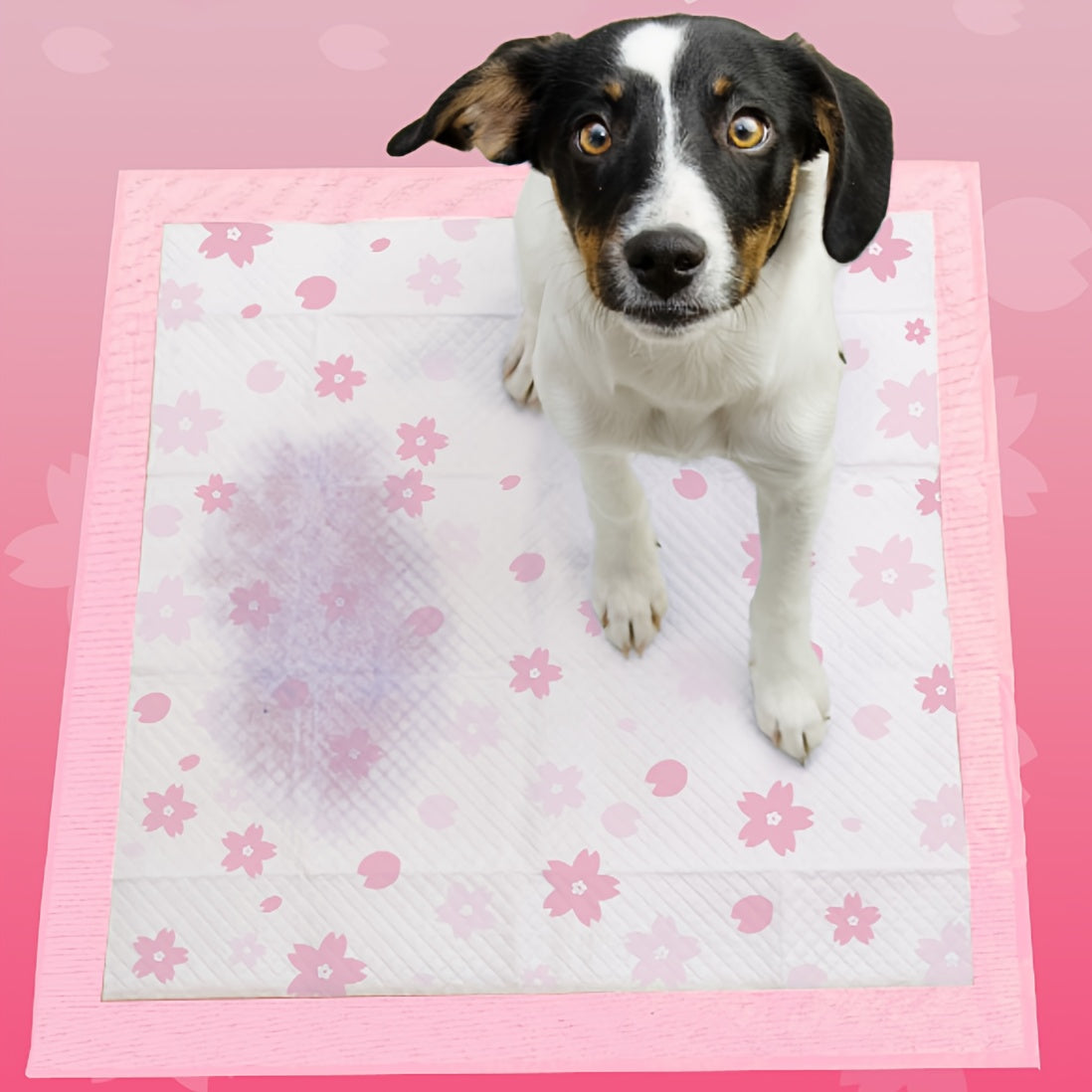 4-Size Options Leak-Proof Quick-Dry Dog Pee Pads with 6-Layer Ultra Absorbent Thick Puppy Training Pads Suitable for Dogs, Cats, Rabbits, Potty Training & Home Housebreaking
